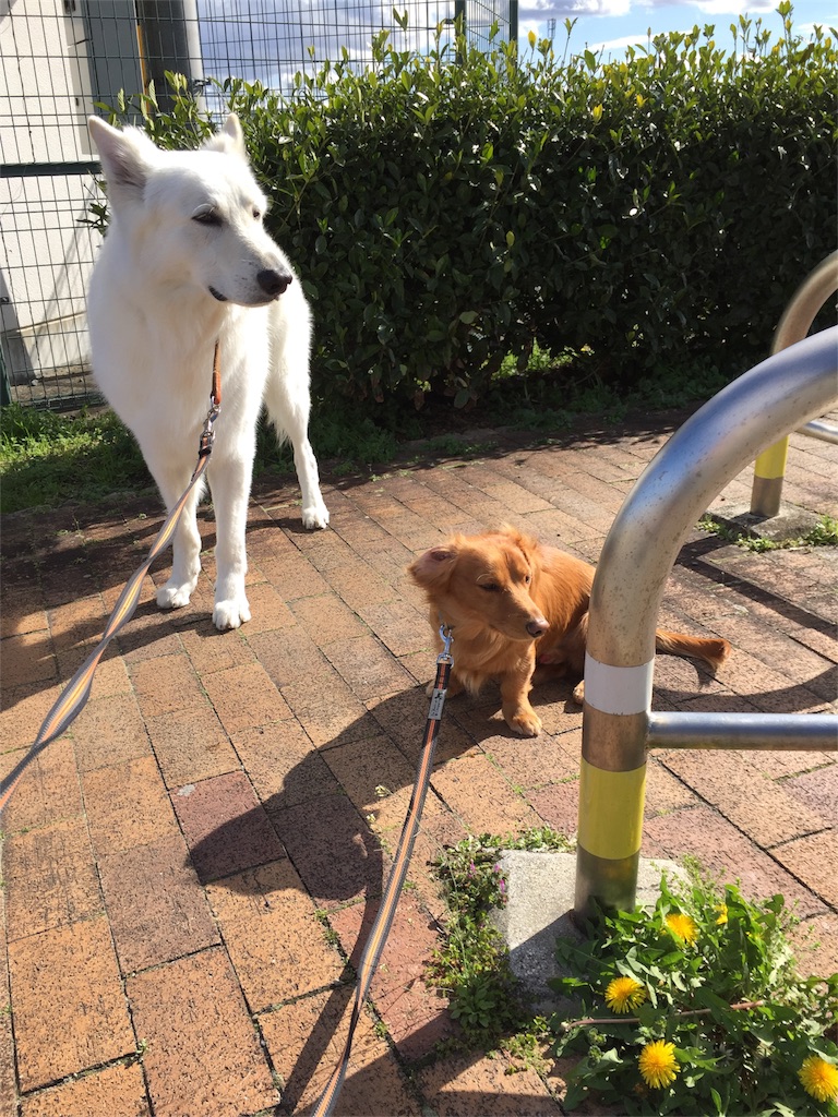 f:id:Lien0927:20180322182251j:image f:id:Lien0927:20180322182251j:image