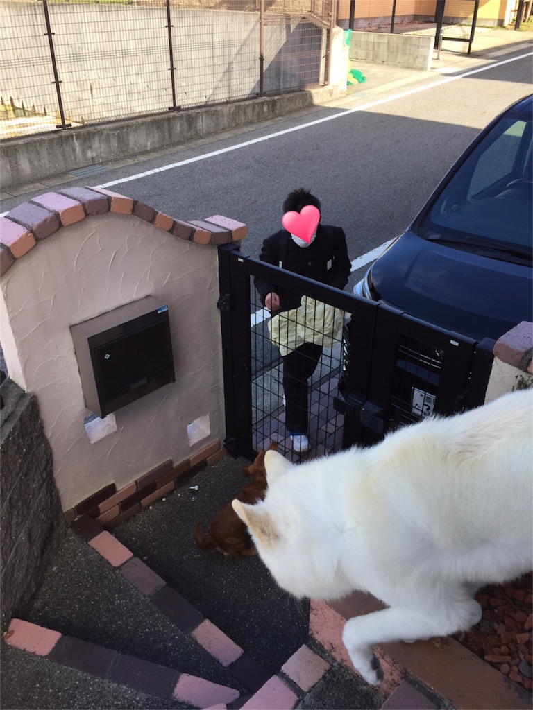 f:id:Lien0927:20180322182721j:image f:id:Lien0927:20180322182721j:image