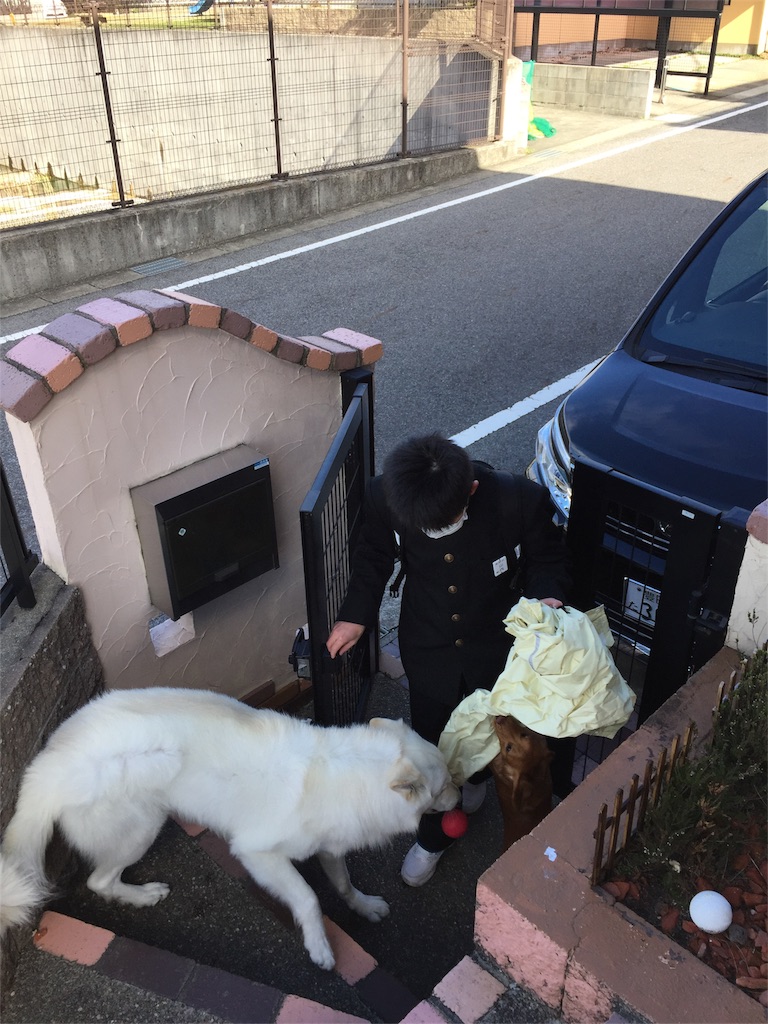 f:id:Lien0927:20180322182824j:image f:id:Lien0927:20180322182824j:image