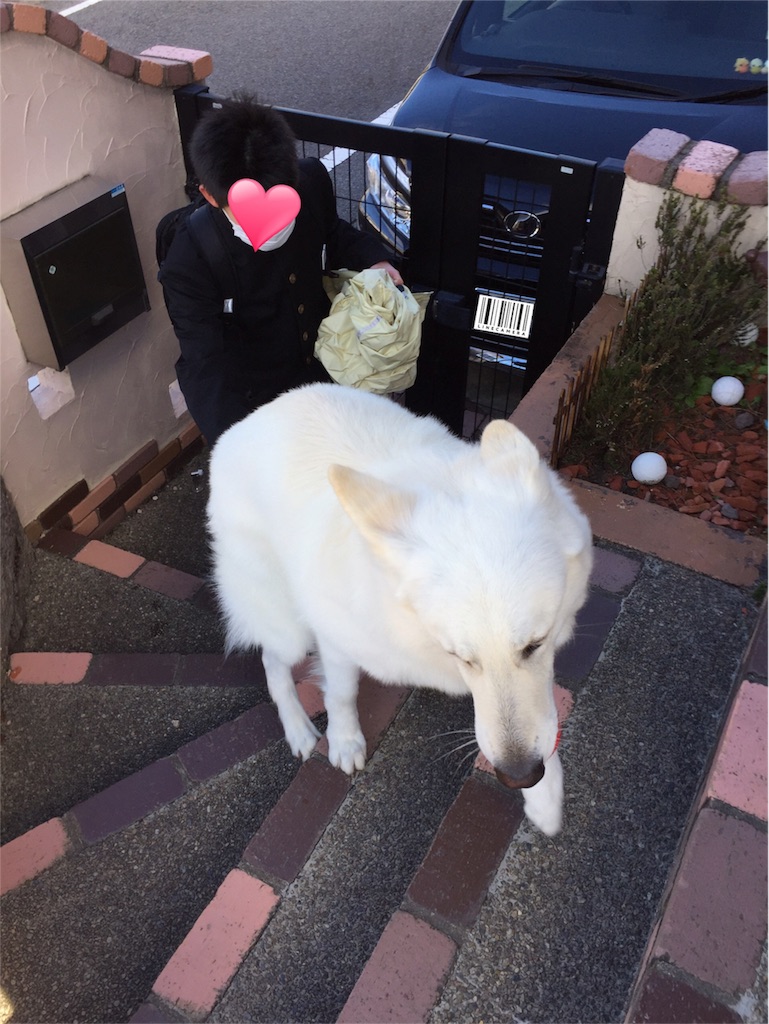 f:id:Lien0927:20180322182842j:image f:id:Lien0927:20180322182842j:image