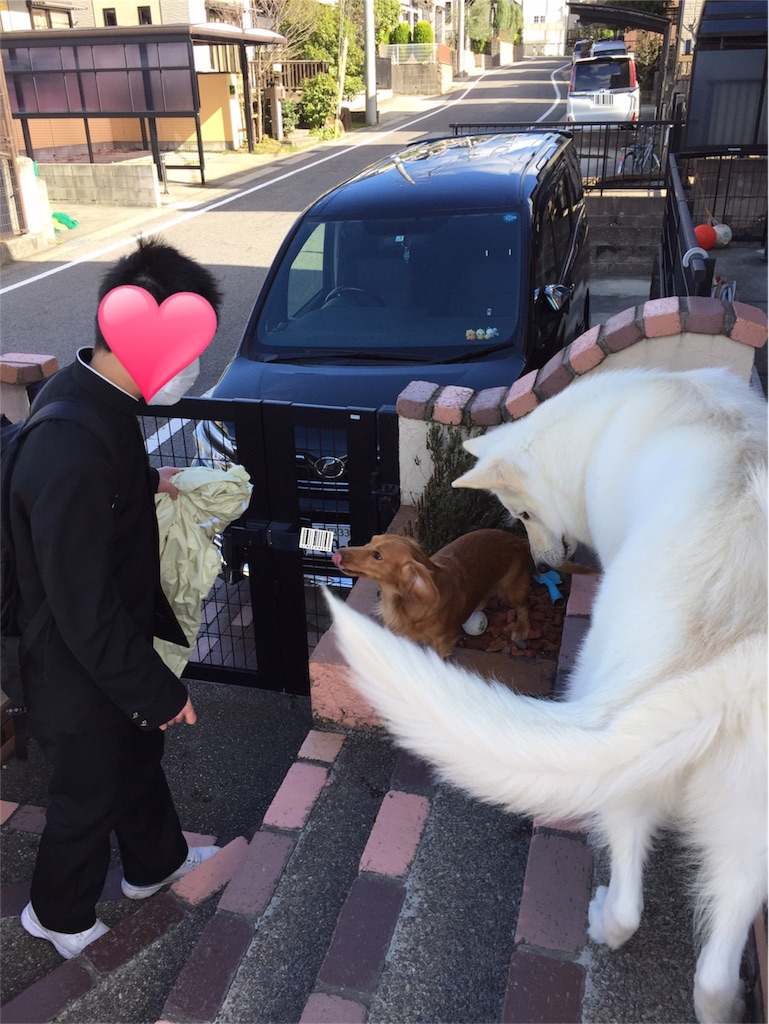 f:id:Lien0927:20180322183049j:image f:id:Lien0927:20180322183049j:image