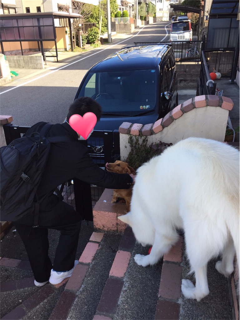 f:id:Lien0927:20180322183143j:image f:id:Lien0927:20180322183143j:image