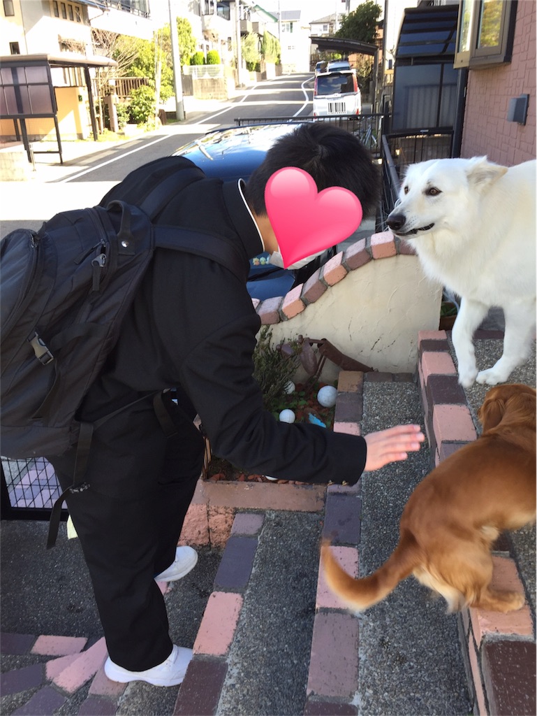 f:id:Lien0927:20180322183247j:image f:id:Lien0927:20180322183247j:image