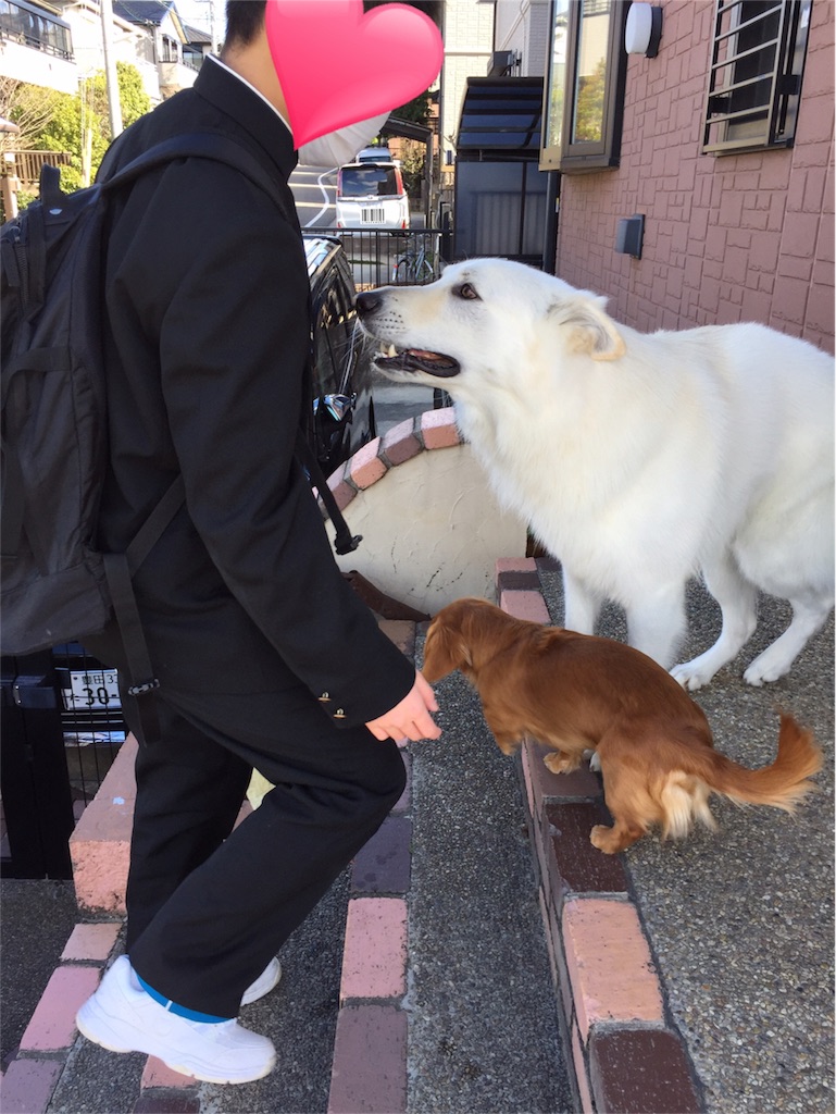 f:id:Lien0927:20180322183252j:image f:id:Lien0927:20180322183252j:image