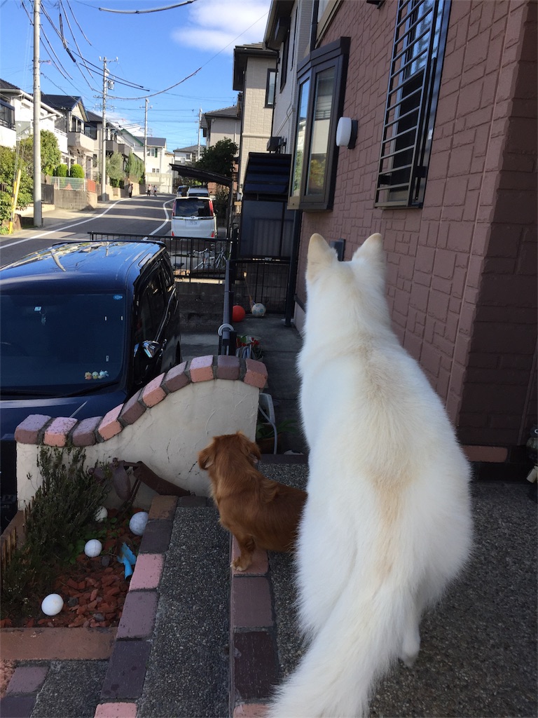 f:id:Lien0927:20180322183444j:image f:id:Lien0927:20180322183444j:image