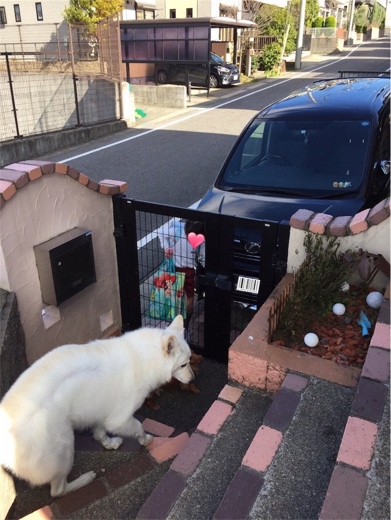 f:id:Lien0927:20180322183713j:image f:id:Lien0927:20180322183713j:image