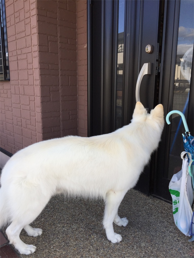 f:id:Lien0927:20180322183816j:image f:id:Lien0927:20180322183816j:image