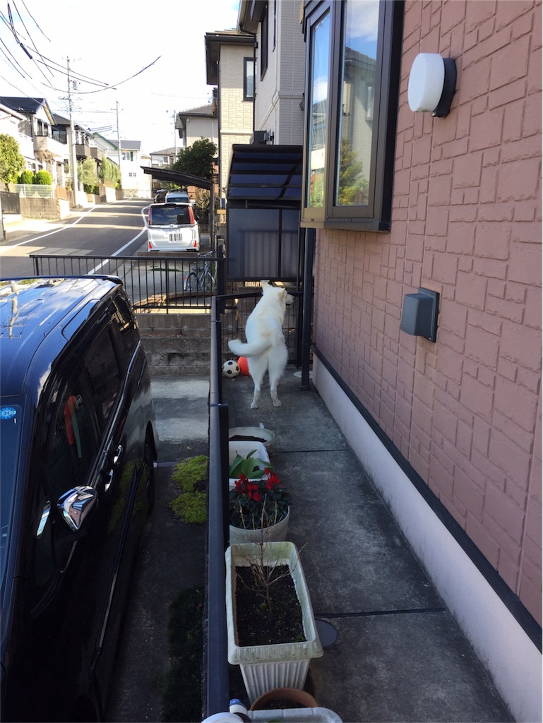 f:id:Lien0927:20180322184310j:image f:id:Lien0927:20180322184310j:image