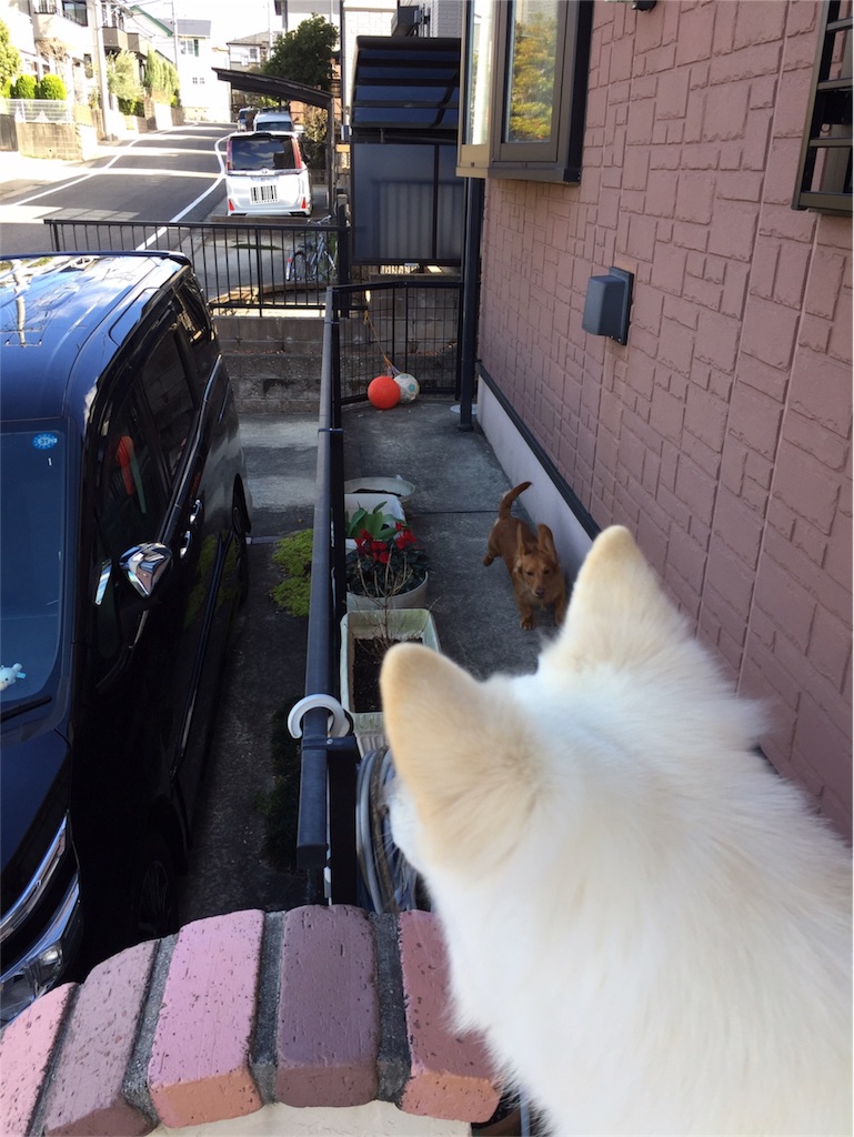 f:id:Lien0927:20180322184325j:image f:id:Lien0927:20180322184325j:image