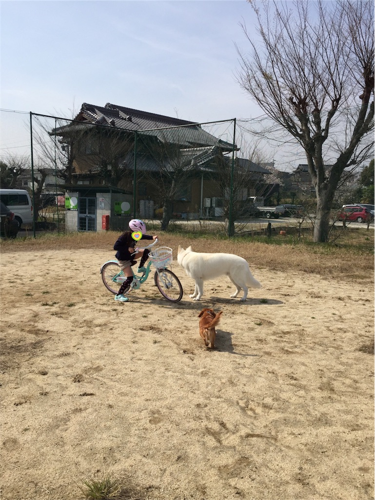 f:id:Lien0927:20180327123612j:image