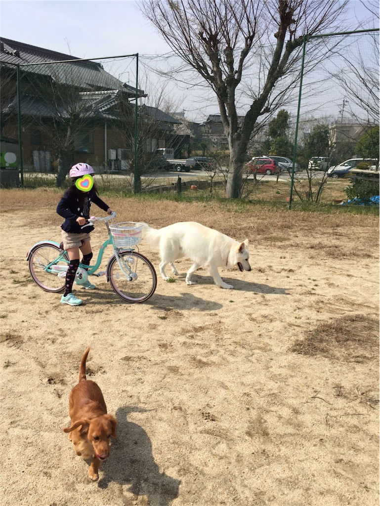 f:id:Lien0927:20180327123635j:image