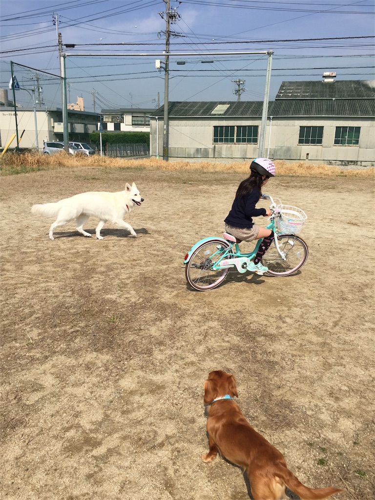 f:id:Lien0927:20180327124027j:image