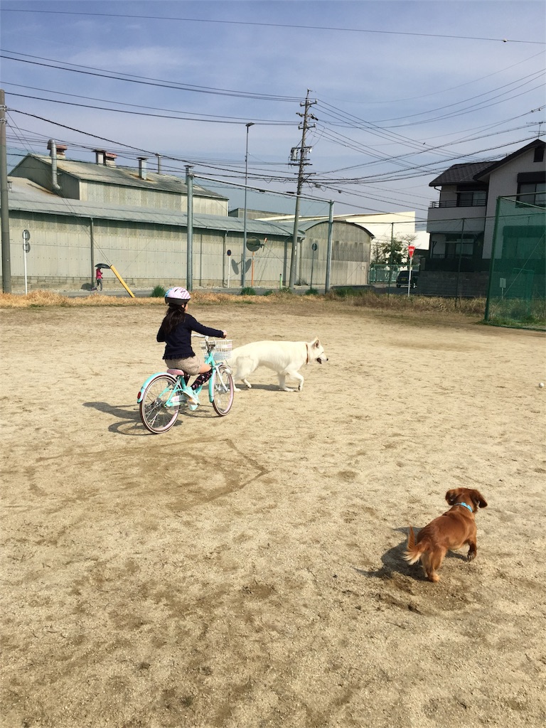 f:id:Lien0927:20180327124037j:image