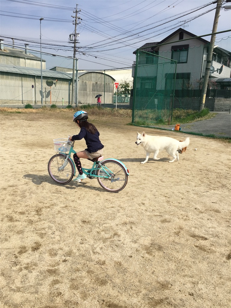 f:id:Lien0927:20180327124049j:image