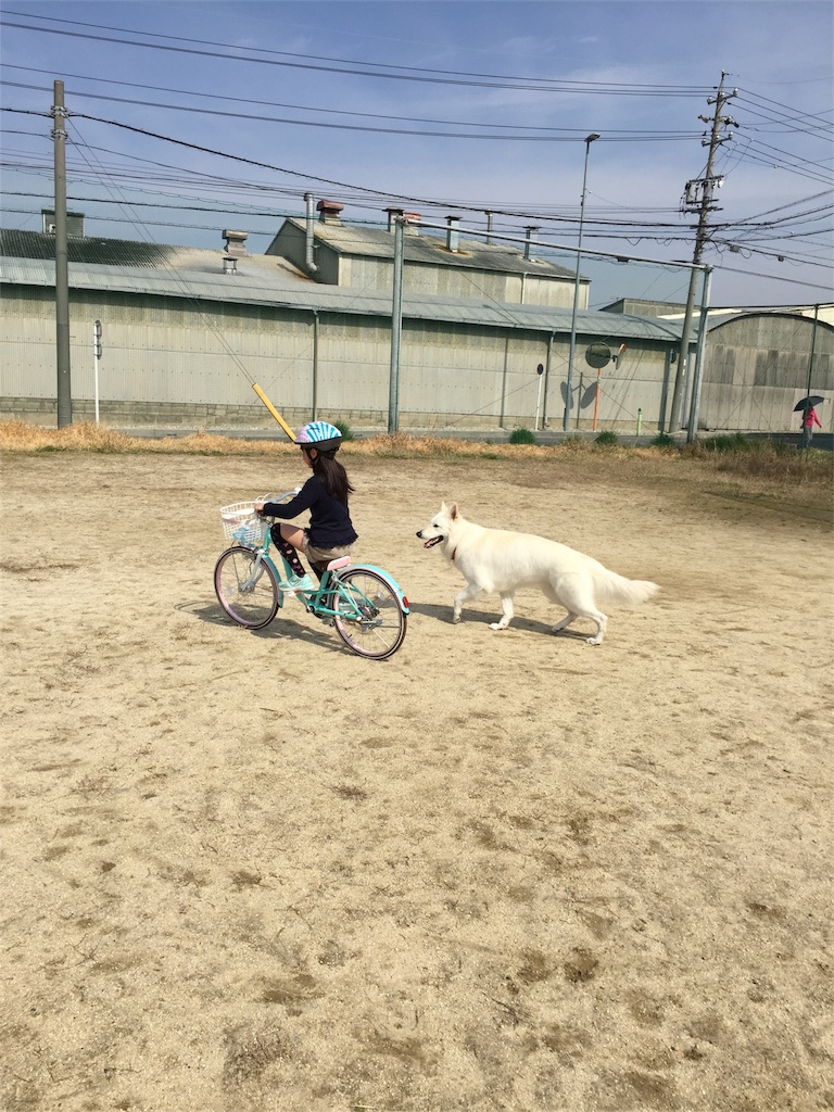 f:id:Lien0927:20180327124108j:image