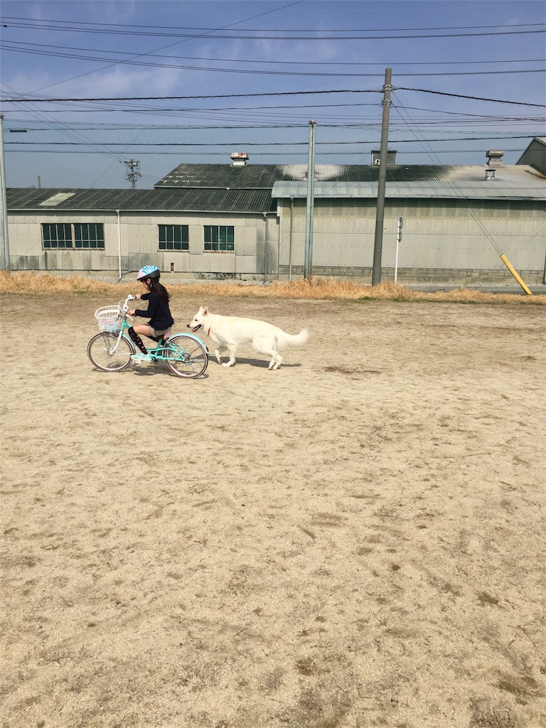 f:id:Lien0927:20180327124145j:image