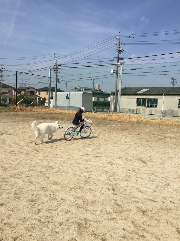 f:id:Lien0927:20180327124612j:image