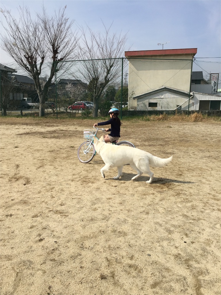 f:id:Lien0927:20180327125656j:image