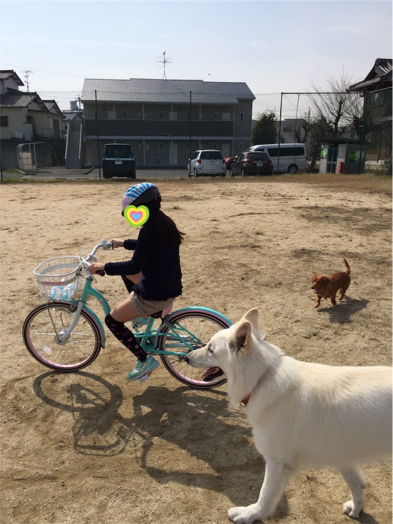 f:id:Lien0927:20180327130216j:image