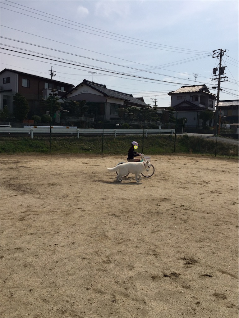 f:id:Lien0927:20180327130251j:image