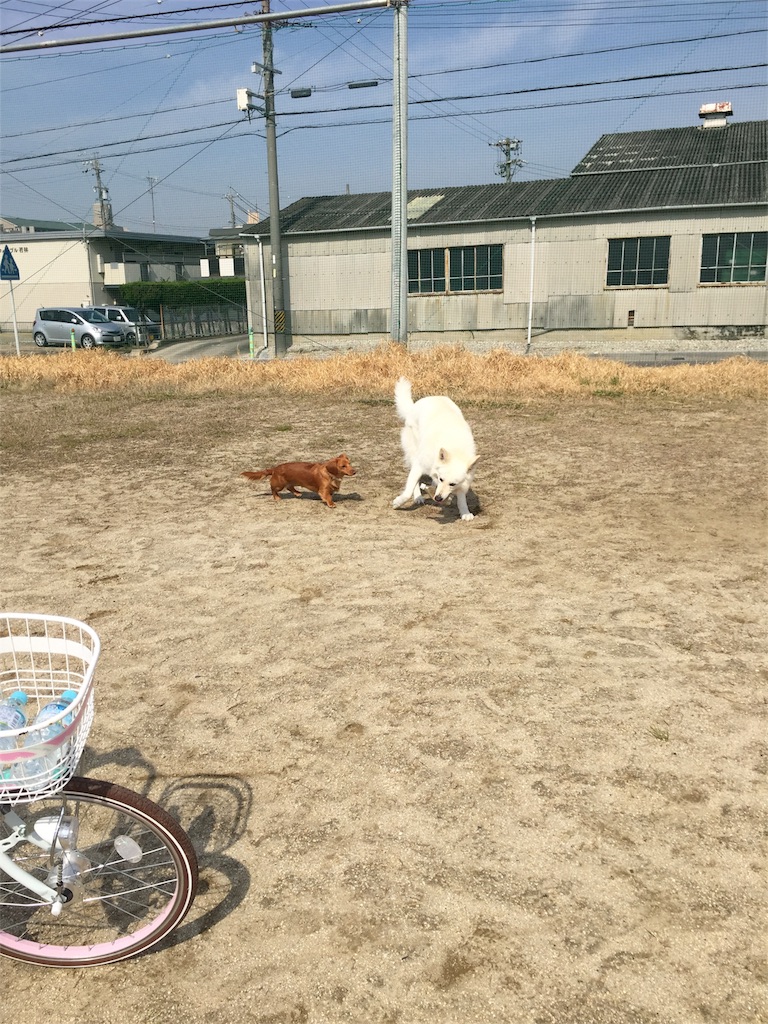 f:id:Lien0927:20180327130335j:image