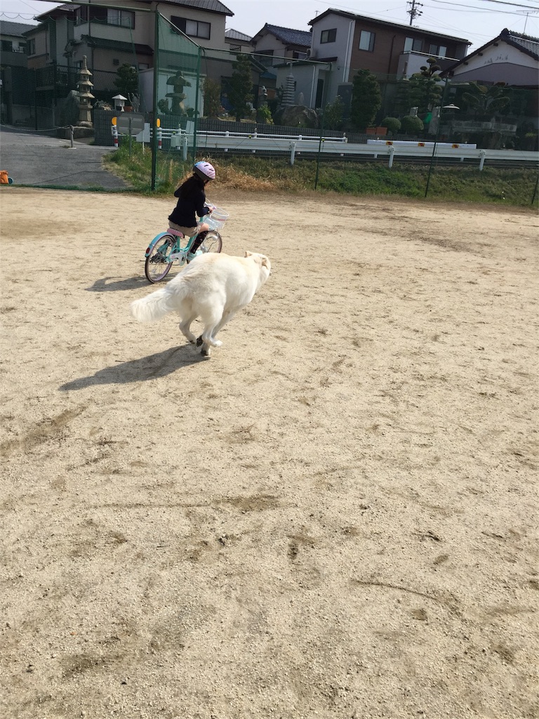 f:id:Lien0927:20180327130539j:image