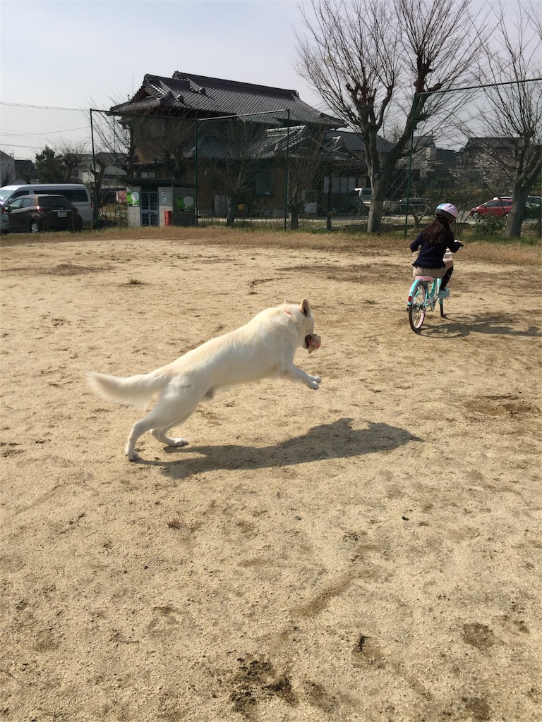 f:id:Lien0927:20180327130603j:image