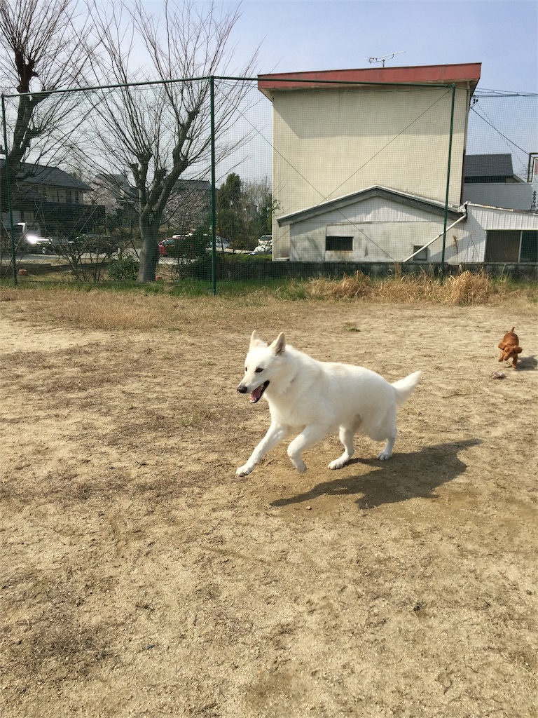 f:id:Lien0927:20180327130739j:image