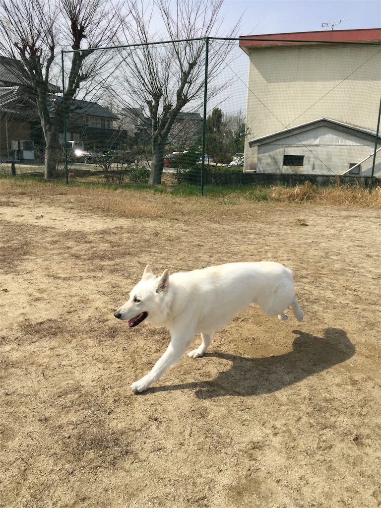 f:id:Lien0927:20180327130753j:image