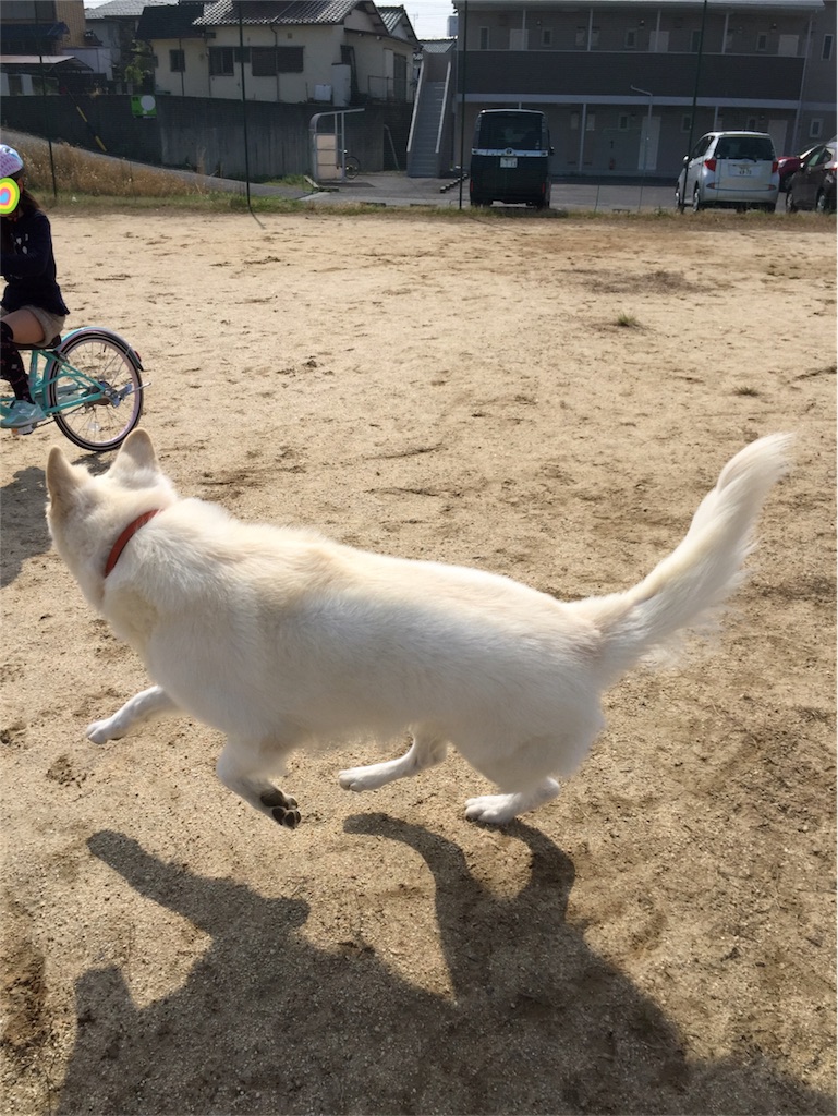 f:id:Lien0927:20180327130839j:image