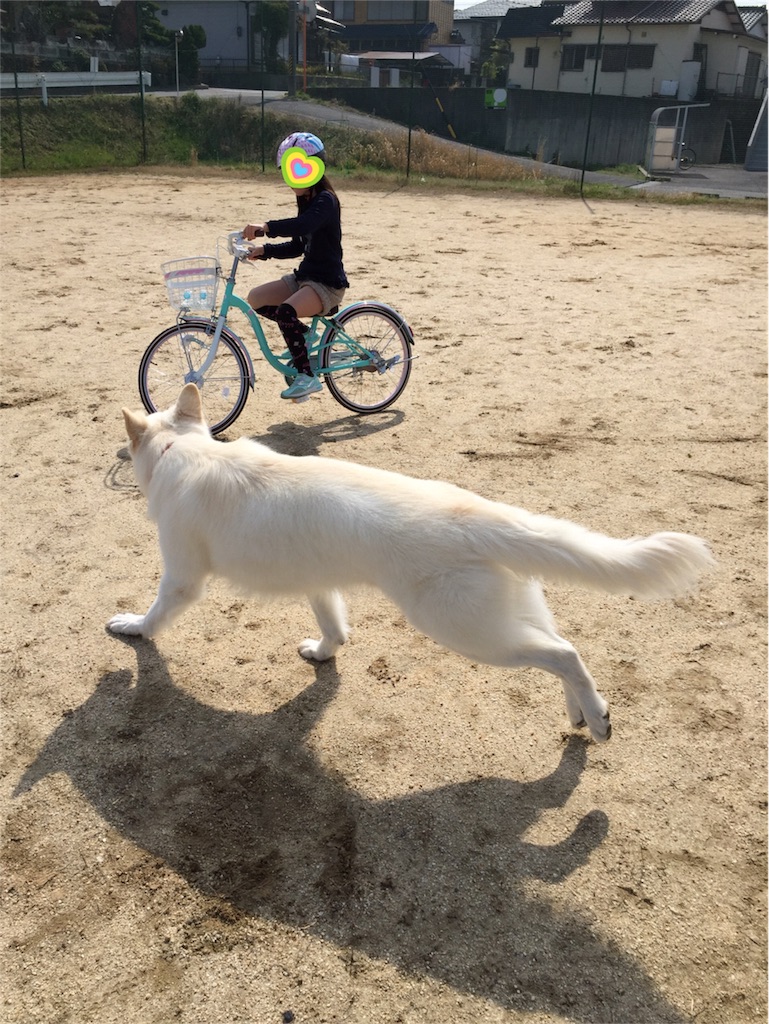 f:id:Lien0927:20180327131042j:image