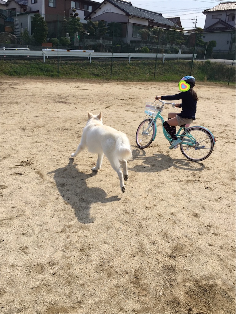 f:id:Lien0927:20180327131049j:image