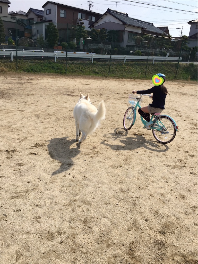 f:id:Lien0927:20180327131055j:image