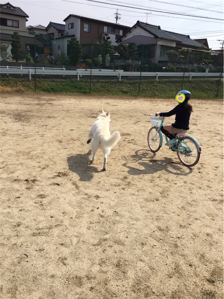 f:id:Lien0927:20180327131102j:image