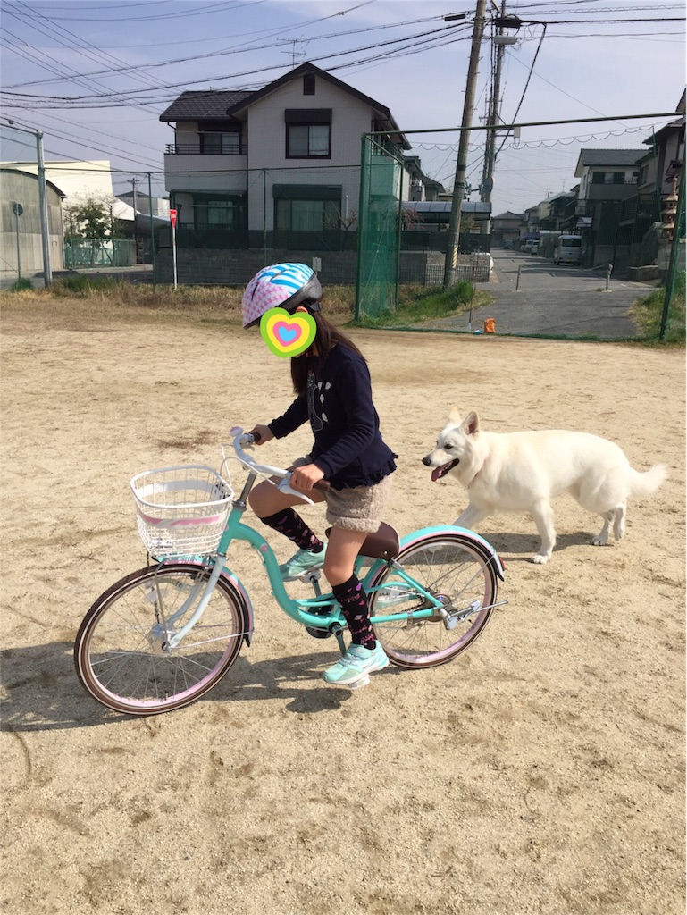 f:id:Lien0927:20180327131132j:image