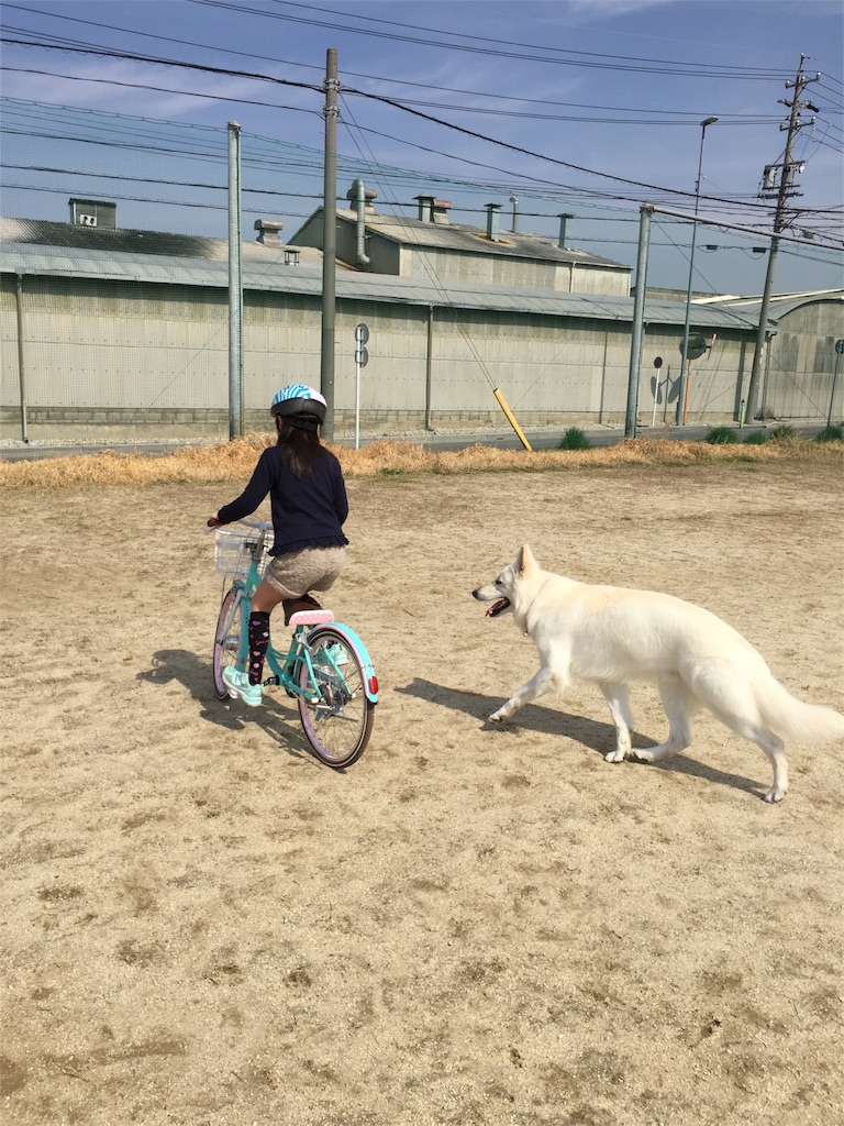 f:id:Lien0927:20180327131139j:image