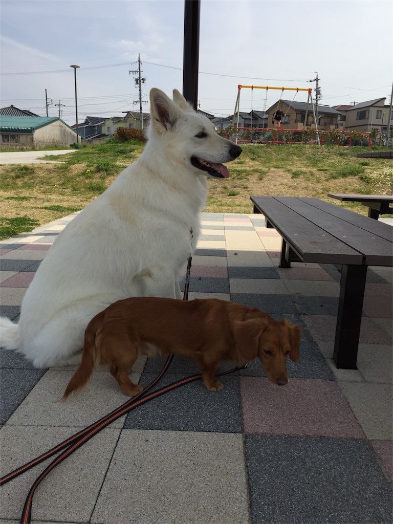 f:id:Lien0927:20180327131520j:image