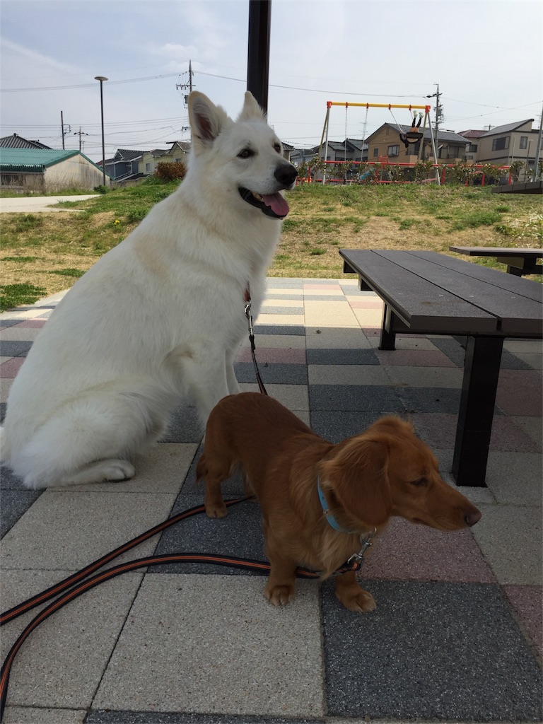 f:id:Lien0927:20180327131525j:image