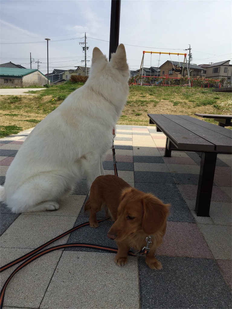 f:id:Lien0927:20180327131719j:image