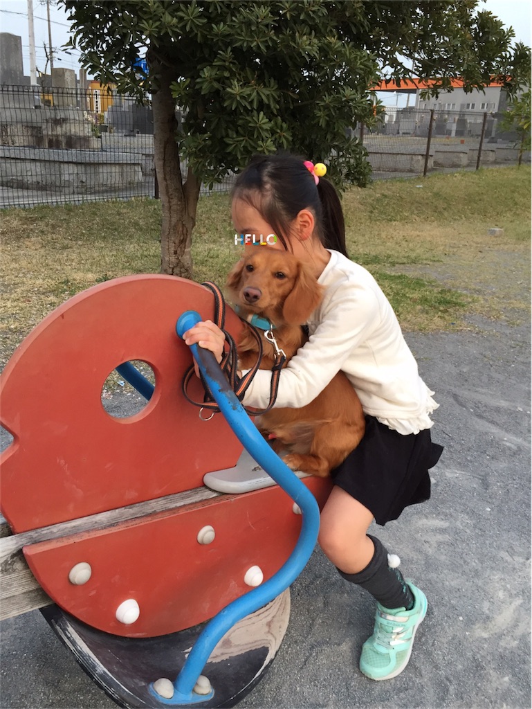 f:id:Lien0927:20180402231409j:image f:id:Lien0927:20180402231409j:image