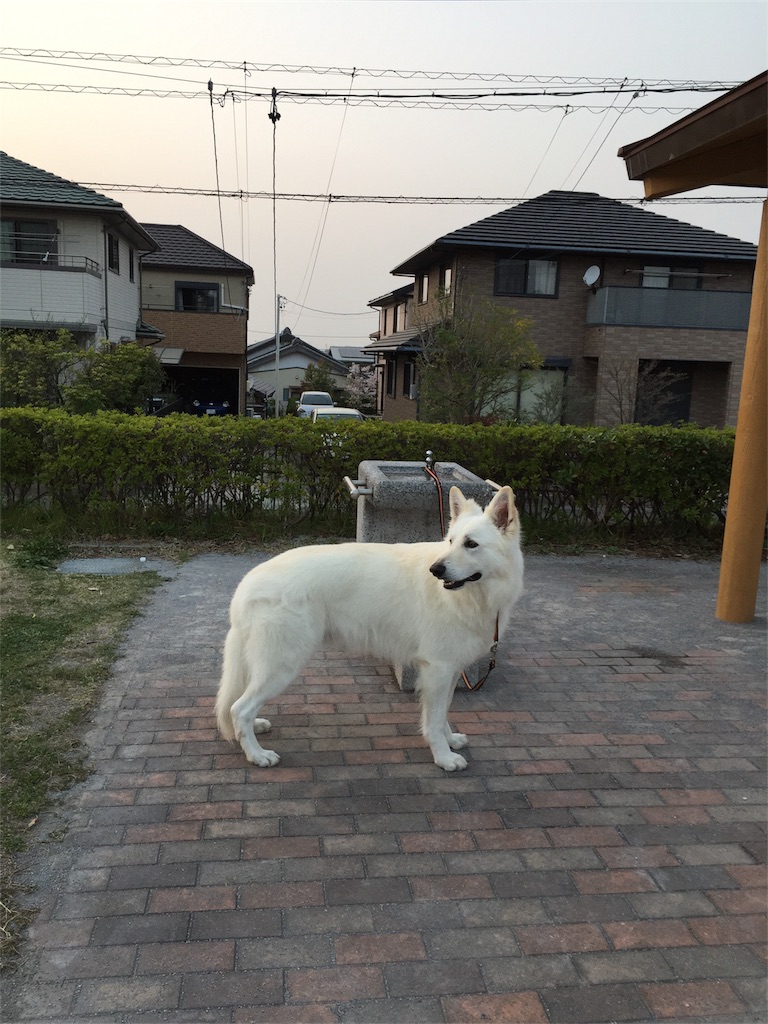 f:id:Lien0927:20180402231710j:image f:id:Lien0927:20180402231710j:image