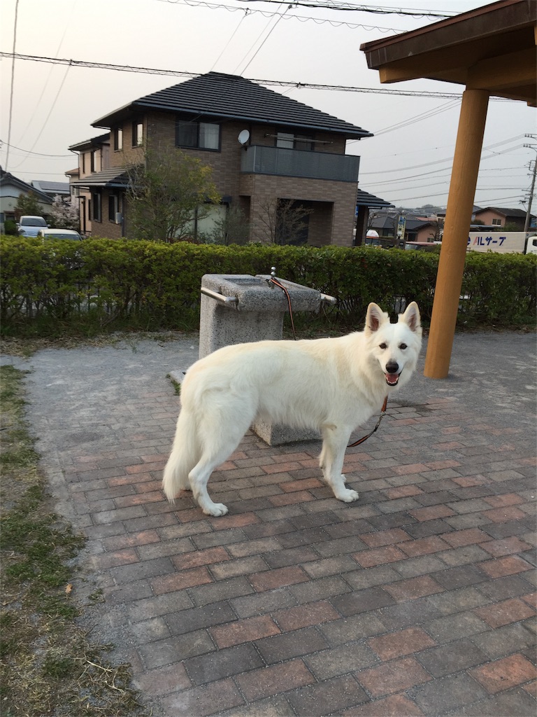 f:id:Lien0927:20180402231715j:image f:id:Lien0927:20180402231715j:image