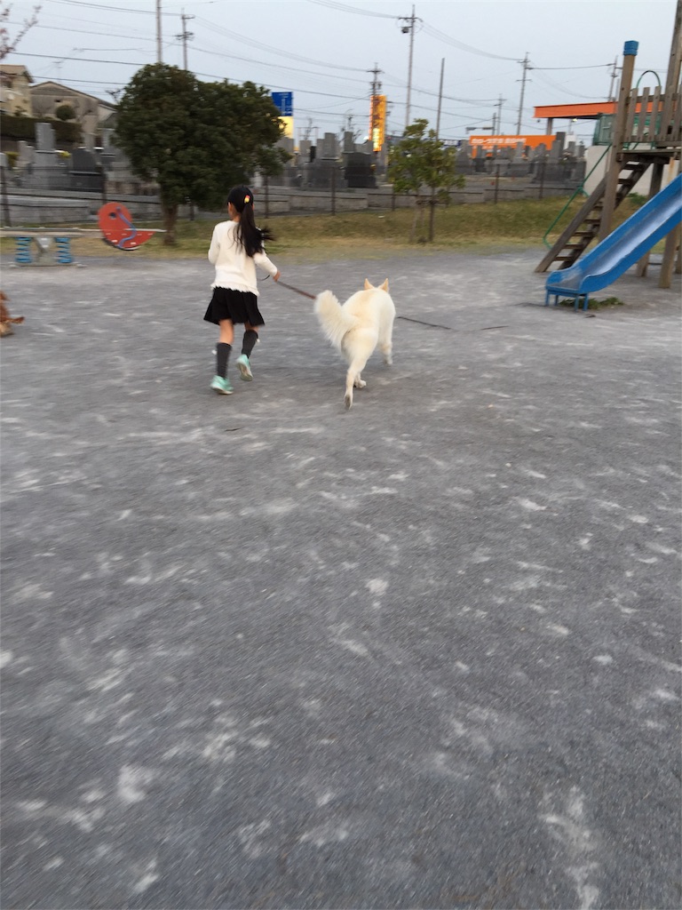 f:id:Lien0927:20180402231827j:image f:id:Lien0927:20180402231827j:image