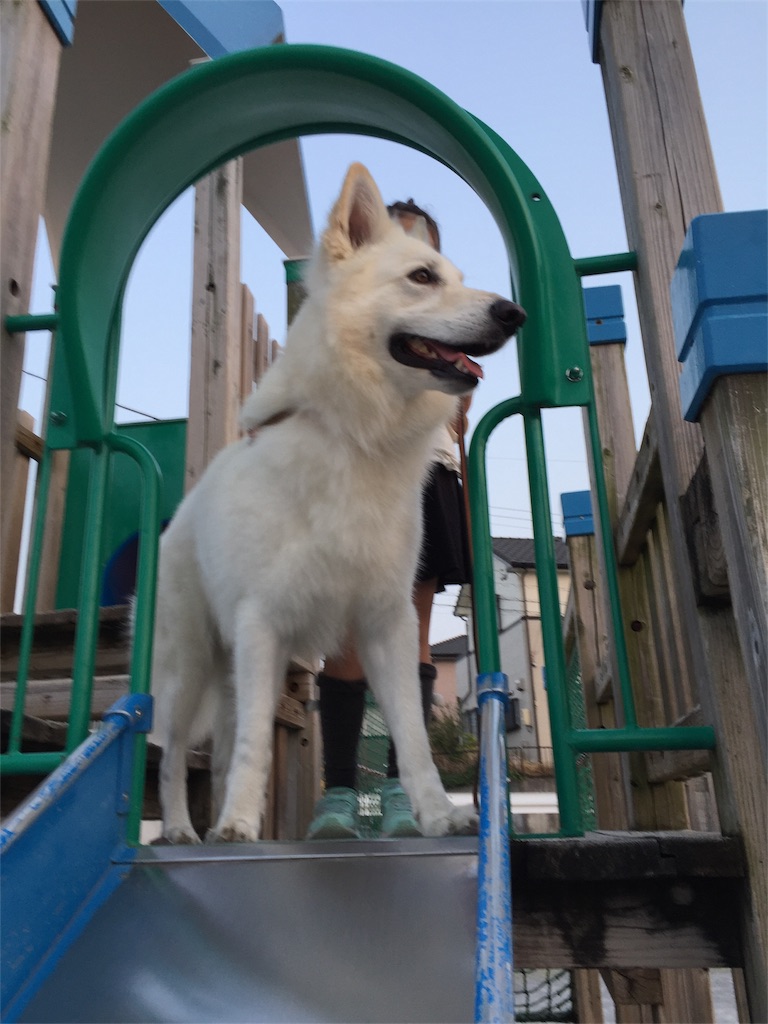 f:id:Lien0927:20180402233906j:image f:id:Lien0927:20180402233906j:image