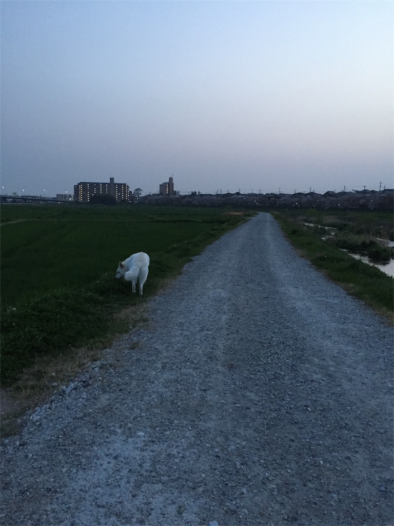 f:id:Lien0927:20180402235118j:image f:id:Lien0927:20180402235118j:image