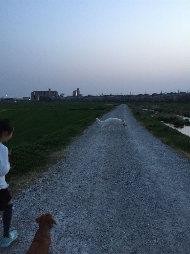 f:id:Lien0927:20180402235359j:image f:id:Lien0927:20180402235359j:image