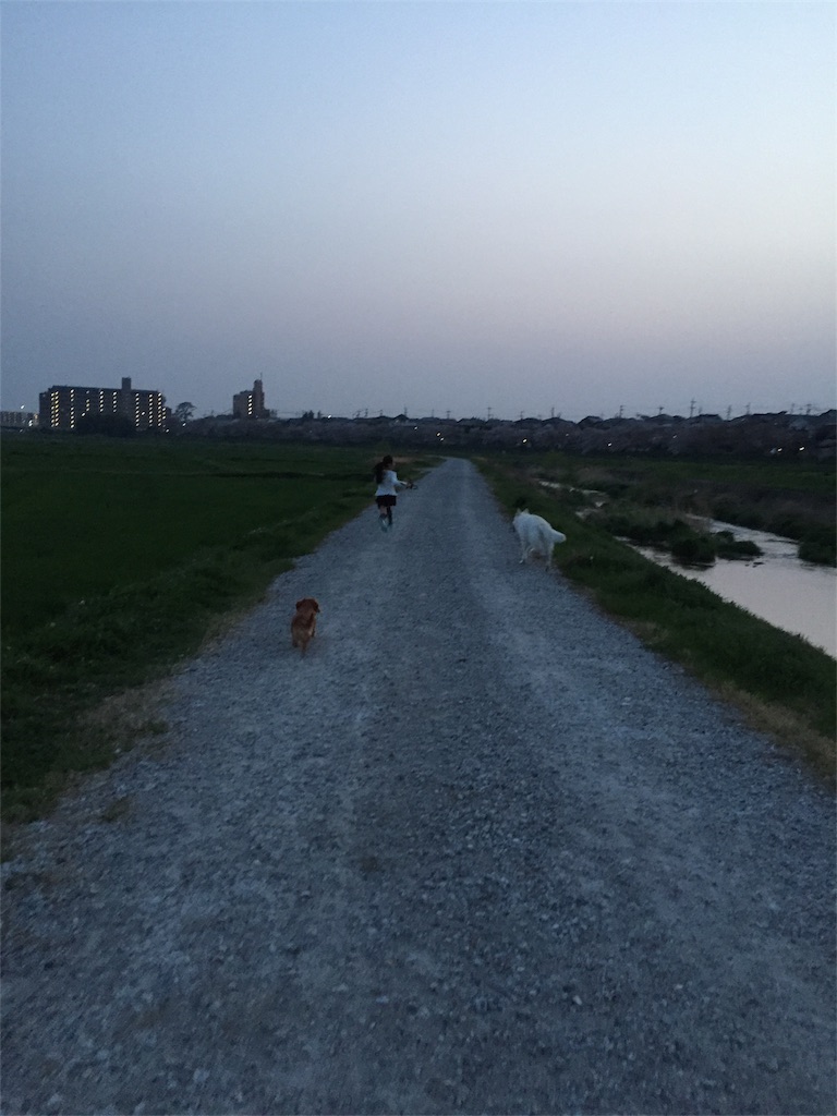 f:id:Lien0927:20180402235424j:image f:id:Lien0927:20180402235424j:image