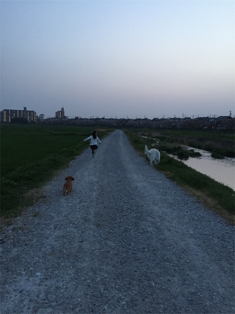 f:id:Lien0927:20180402235427j:image f:id:Lien0927:20180402235427j:image