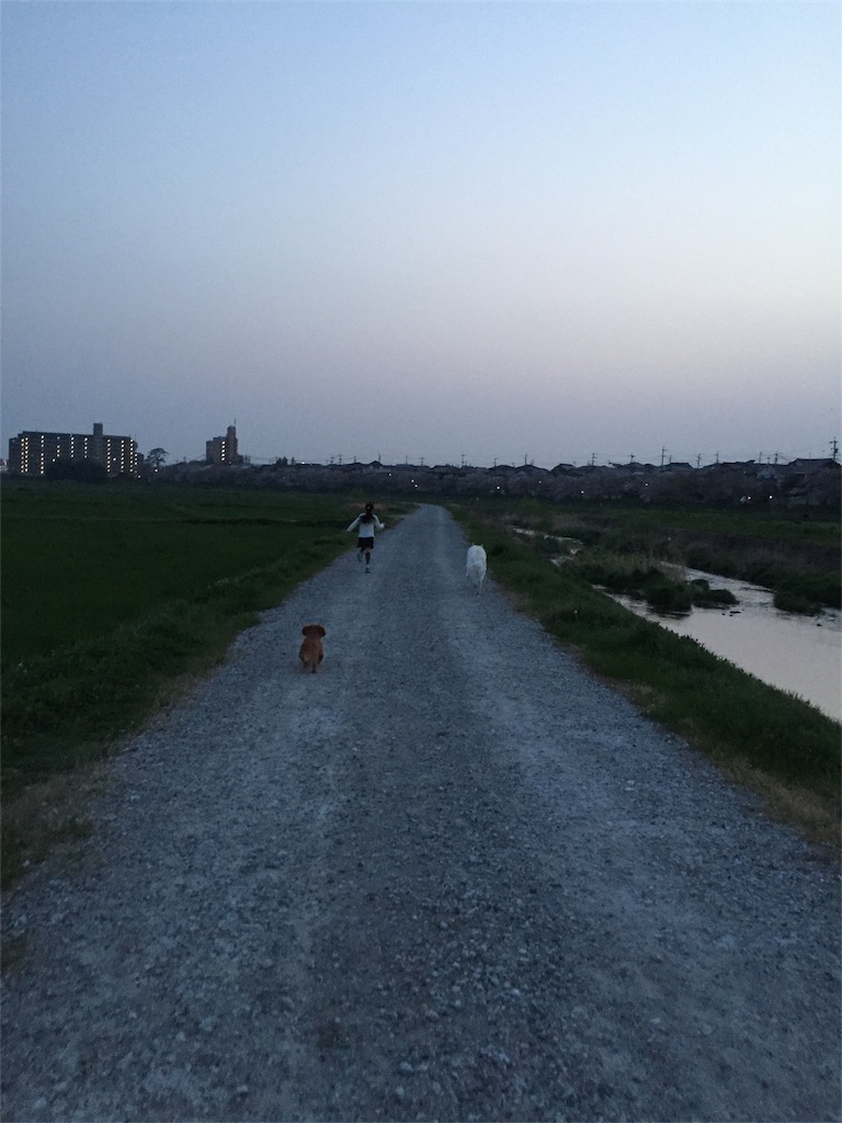 f:id:Lien0927:20180402235432j:image f:id:Lien0927:20180402235432j:image