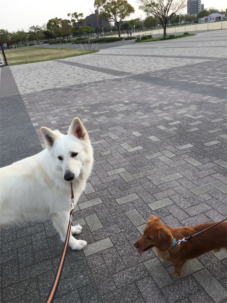 f:id:Lien0927:20180404213854j:image f:id:Lien0927:20180404213854j:image